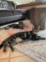 Sam und Sally (3)9
